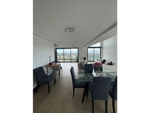 ﺷﻘﺔ ﻓﻲ مدينة غواتيمالا, Municipio de Guatemala