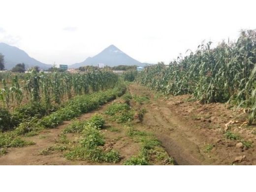 Arsa Quetzaltenango, Departamento de Quetzaltenango