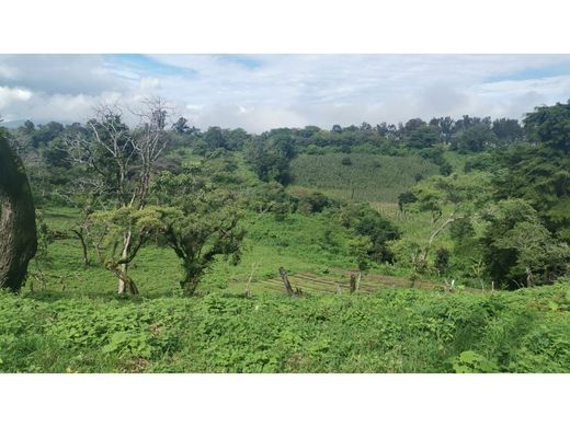 Arsa Fraijanes, Municipio de Fraijanes