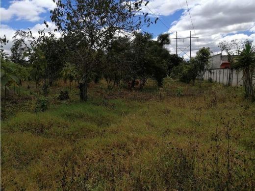 ‏קרקע ב  Chimaltenango, Municipio de Chimaltenango