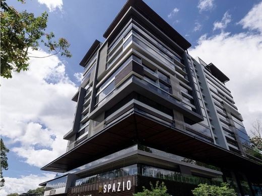 Ofis Guatemala City, Municipio de Guatemala