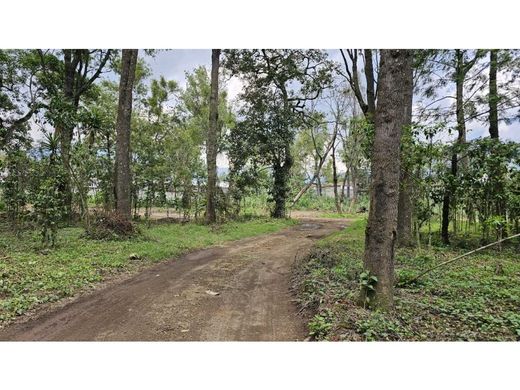أرض ﻓﻲ Antigua Guatemala, Departamento de Sacatepéquez