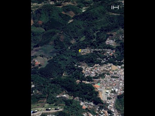 Arsa Guatemala City, Municipio de Guatemala