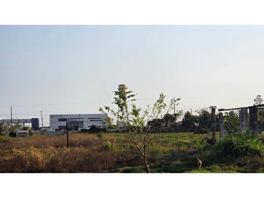 Arsa Puerto San José, Municipio de San José