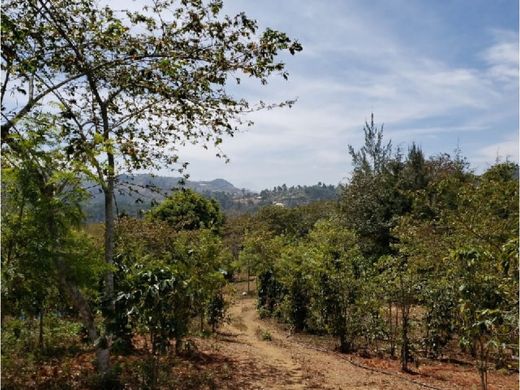 Grundstück in Alotenango, Departamento de Sacatepéquez