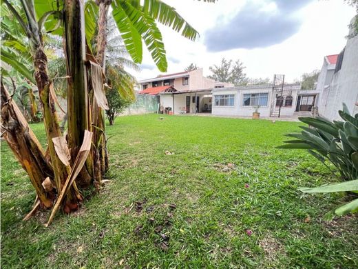 Guatemala City, Municipio de Guatemalaの土地