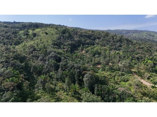 Arsa Izabal, Municipio de Los Amates