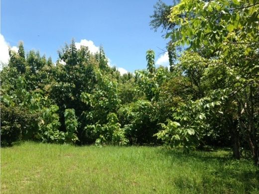 Сельский Дом, Гватемала, Municipio de Guatemala