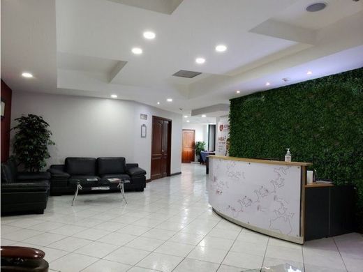 Ofis Guatemala City, Municipio de Guatemala