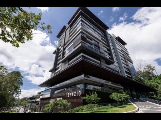 Daire Guatemala City, Municipio de Guatemala