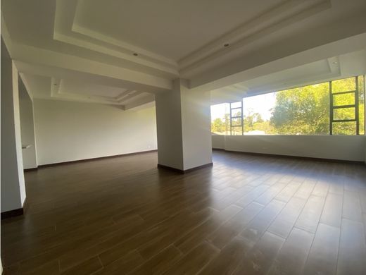 Daire Guatemala City, Municipio de Guatemala