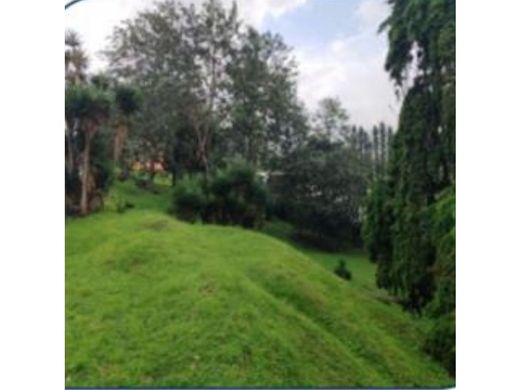 토지 / Guatemala City, Municipio de Guatemala