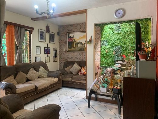 Элитный дом, Гватемала, Municipio de Guatemala