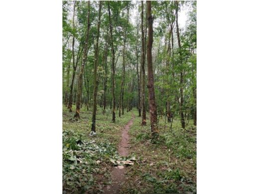 Cortijo o casa de campo en Puerto Barrios, Municipio de Puerto Barrios