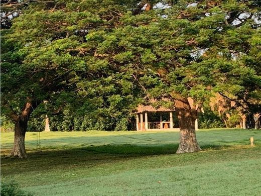 ‏בתים כפריים או חוות ב  Escuintla, Municipio de Escuintla