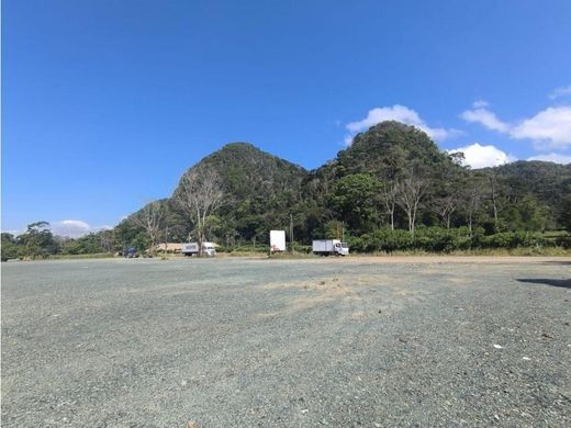 地皮  Morales, Municipio de Morales