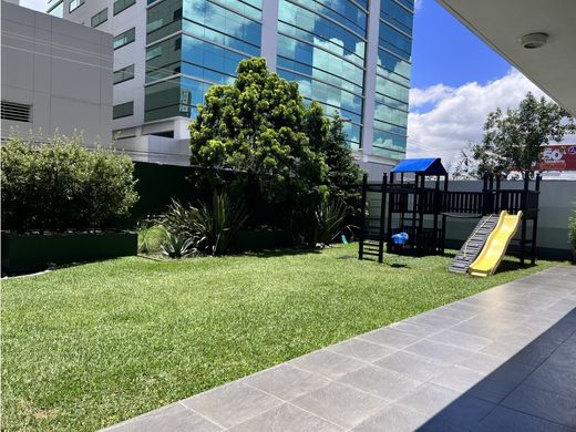 Daire Guatemala City, Municipio de Guatemala