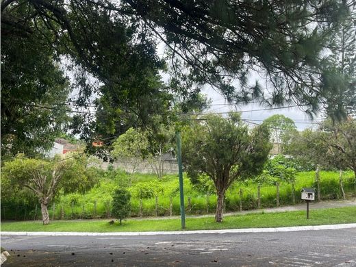 地皮  瓜地馬拉市, Municipio de Guatemala