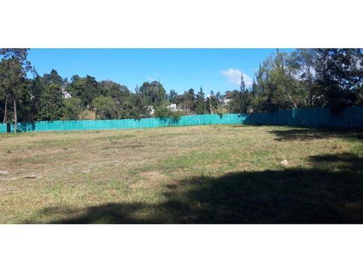 Grundstück in Guatemala-Stadt, Municipio de Guatemala