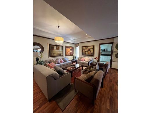 Daire Guatemala City, Municipio de Guatemala