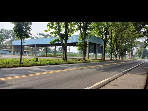 Terrain à San Antonio Suchitepéquez, Municipio de San Antonio Suchitepéquez