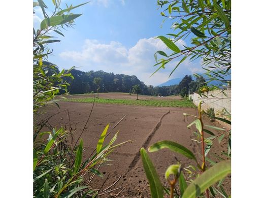 Αγροτεμάχιο σε San Marcos, Municipio de San Marcos