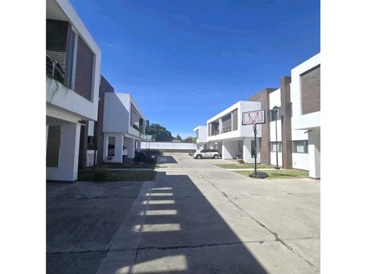 豪宅  瓜地馬拉市, Municipio de Guatemala