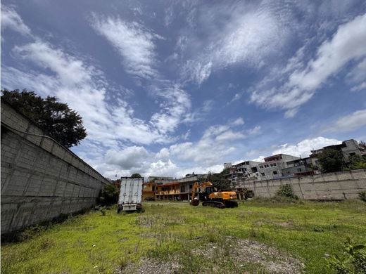 Участок, Гватемала, Municipio de Guatemala