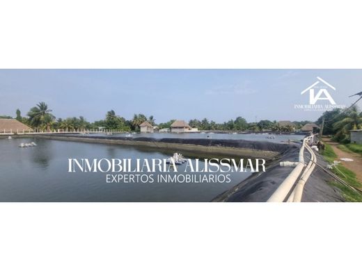 Arsa Iztapa, Municipio de Iztapa