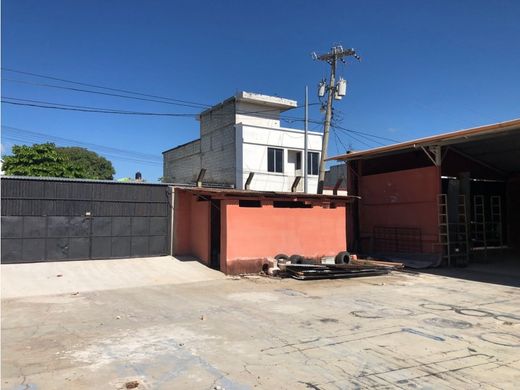 El Progreso, Municipio de El Progresoの土地