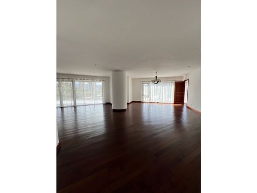 Daire Guatemala City, Municipio de Guatemala