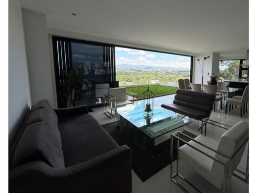 Daire Guatemala City, Municipio de Guatemala