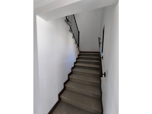 Köy evi San Pedro Sacatepéquez, Municipio de San Pedro Sacatepéquez