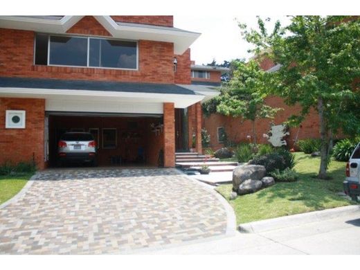 호화 저택 / Guatemala City, Municipio de Guatemala