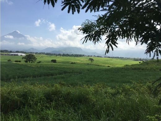 ‏בתים כפריים או חוות ב  Puerto San José, Municipio de San José