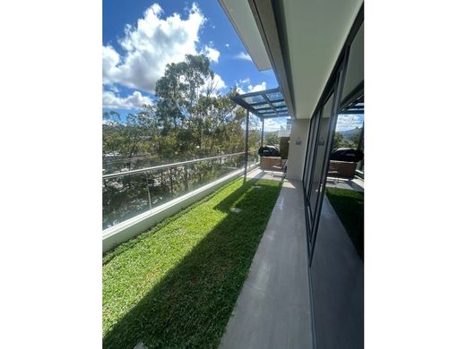 Daire Guatemala City, Municipio de Guatemala