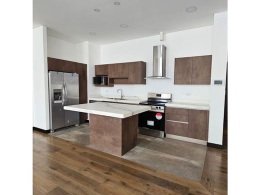 Daire Guatemala City, Municipio de Guatemala