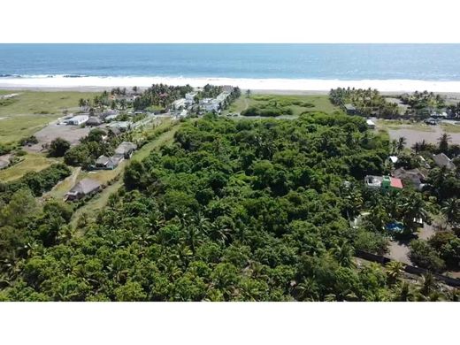 Arsa Puerto San José, Municipio de San José