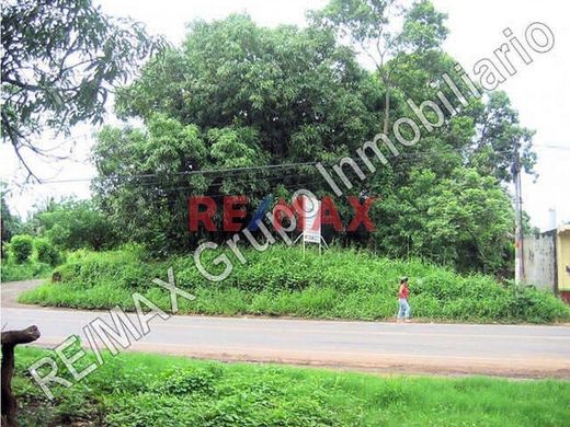 地皮  Taxisco, Municipio de Taxisco