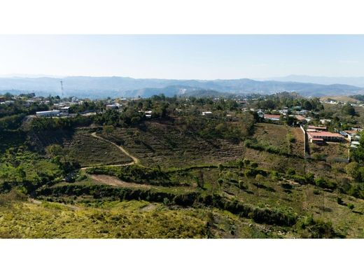 Palencia, Municipio de Palenciaの土地