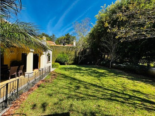 豪宅  瓜地馬拉市, Municipio de Guatemala