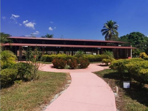 ‏קרקע ב  Chiquimulilla, Municipio de Chiquimulilla