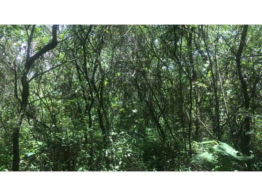 Grond in Guatemala-stad, Municipio de Guatemala