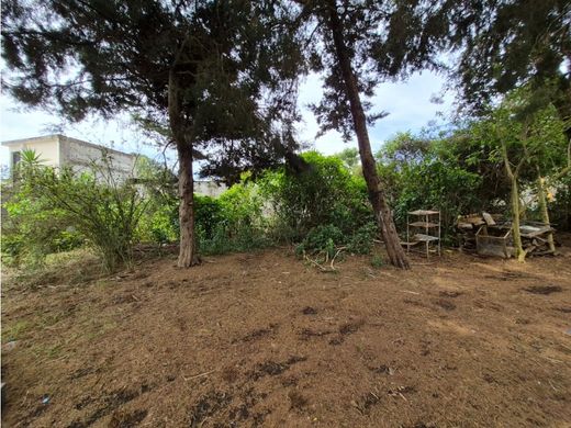 Land in San José Pinula, Municipio de San José Pinula