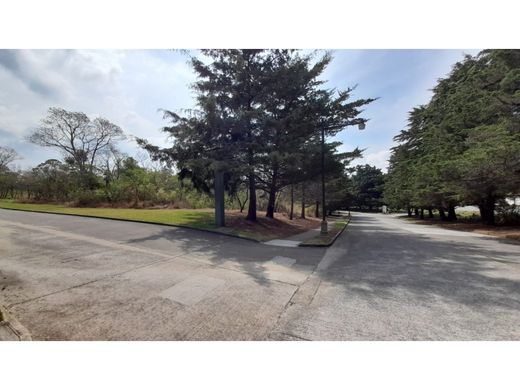 أرض ﻓﻲ مدينة غواتيمالا, Municipio de Guatemala