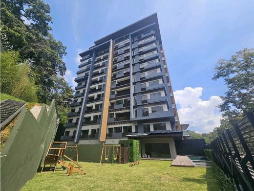 Daire Guatemala City, Municipio de Guatemala