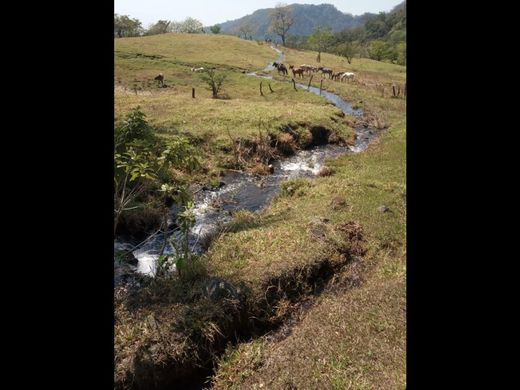 San Vicente Pacaya, Municipio de San Vicente Pacayaのカントリー風またはファームハウス