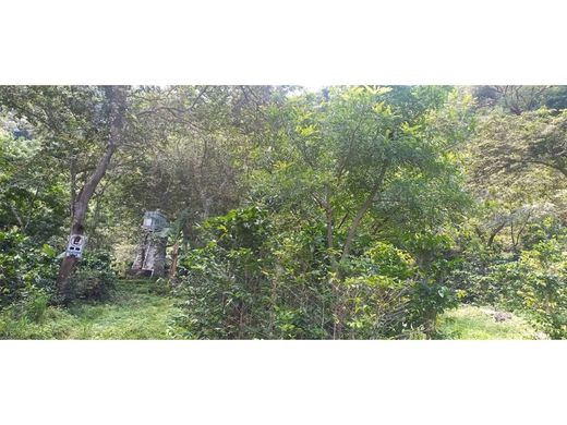 Rustykalny lub Wiejski w Amatitlán, Municipio de Amatitlán