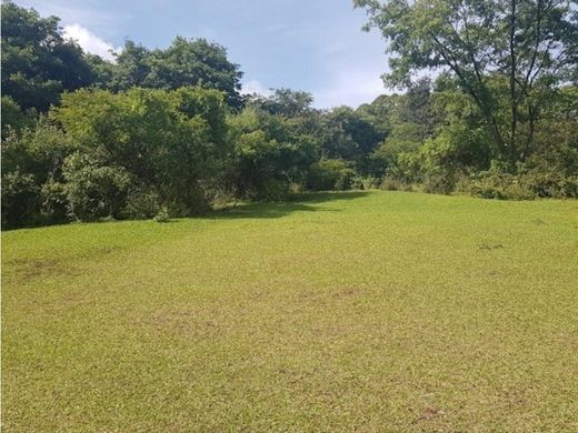 Αγροτεμάχιο σε Los Mixcos, Municipio de Palencia