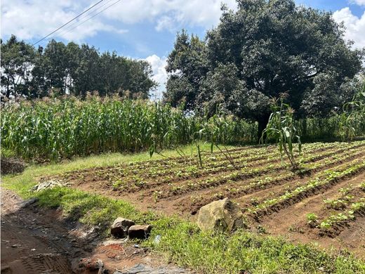 Terreno en El Tejar, Municipio de El Tejar